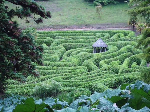 image of the maze of the glendurgan gardens, near st austell