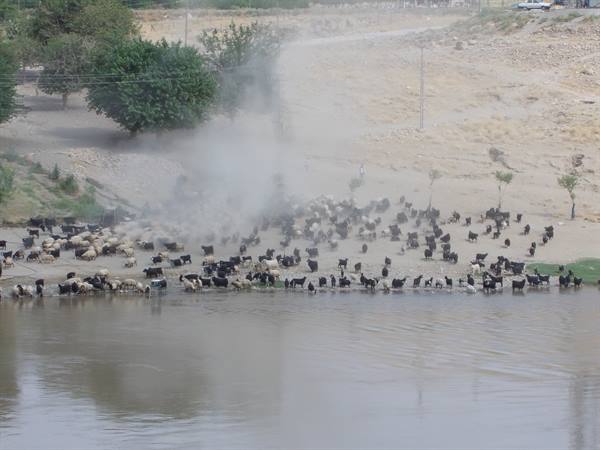 Texas?? No Tigris river!
