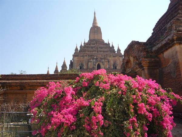 Bagan: Ananda Patho