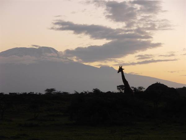 a visit at dawn