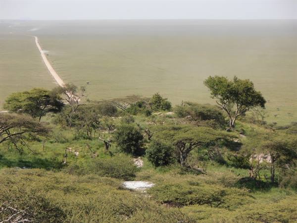 Seronera, endless sea of grass