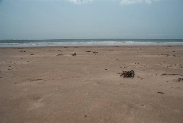 golden beach