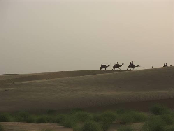 Sam Sand Dunes
