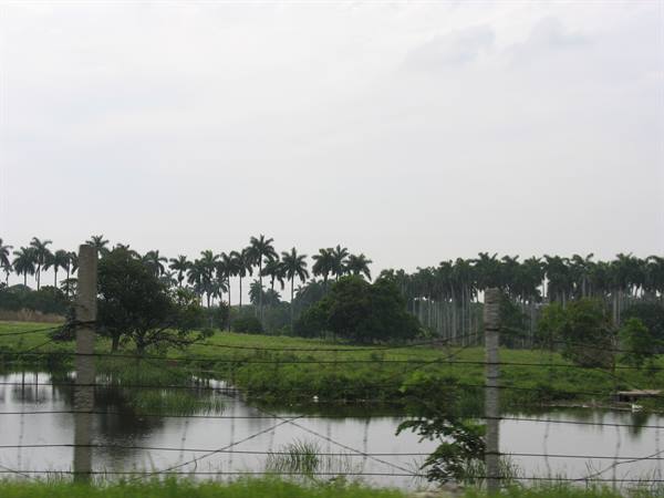 Airport - Playa del Este road