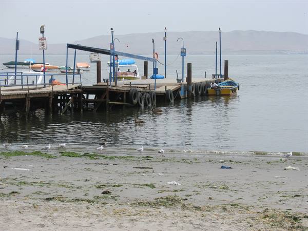 Paracas