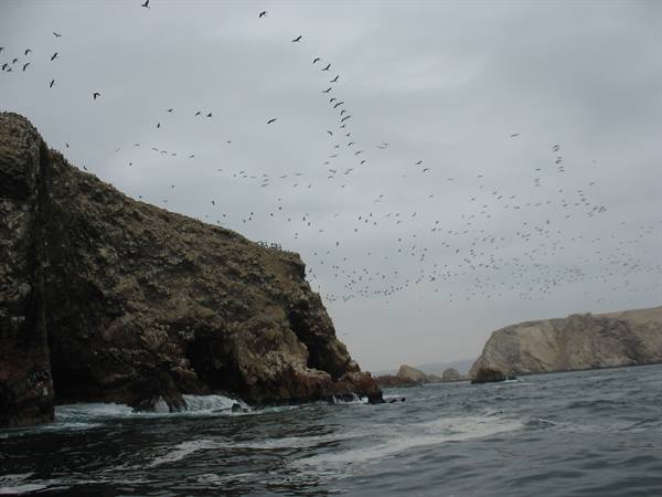 Ballestas Islands