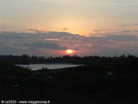 Red sun sinking behind trees over a dark lagoon
