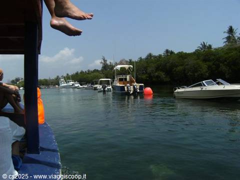Feet resting on a boat deck, vessels moored near the green shoreline