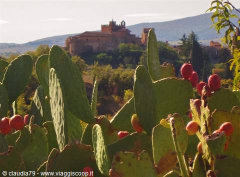 Certaldo Alto (FI) among the prickly pears in the Tuscan countryside