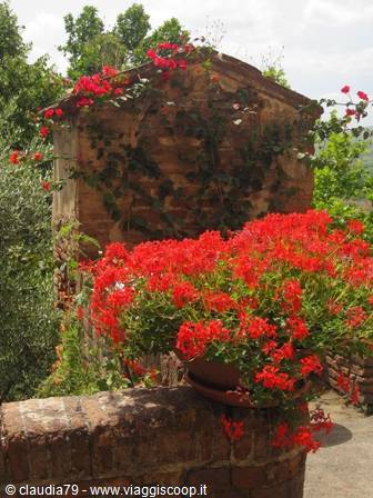 Spring in Tuscany: the well in bloom of the medieval village of Certaldo Alto (FI)