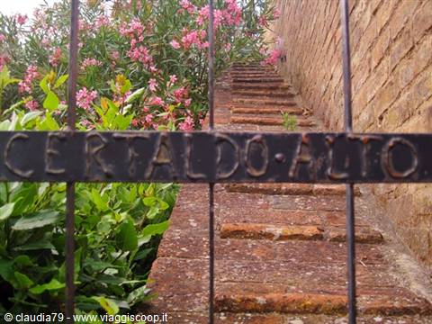 Castles and medieval villages in Tuscany. Detail of Certaldo Alto (FI)