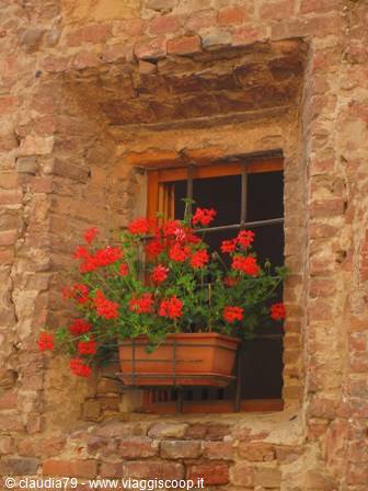 Spring in Tuscany: windowsills in bloom in Certaldo Alto (FI)