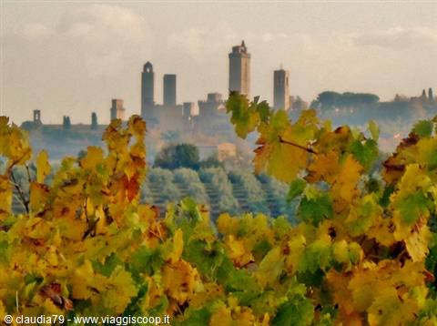 Castles and medieval villages in Tuscany. San Gimignano (SI) among the vernaccia vines