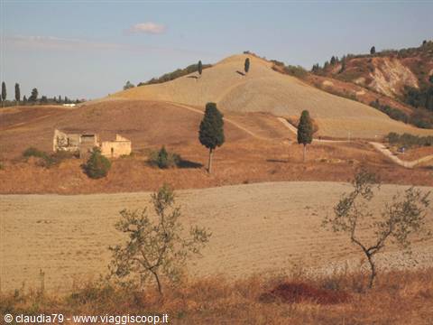 Tuscan countryside in Certaldo Alto (FI) view of Tuscany, autumn in Tuscany