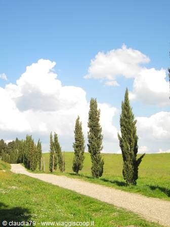Tuscan countryside in Certaldo Alto (FI) view of Tuscany, spring in Tuscany