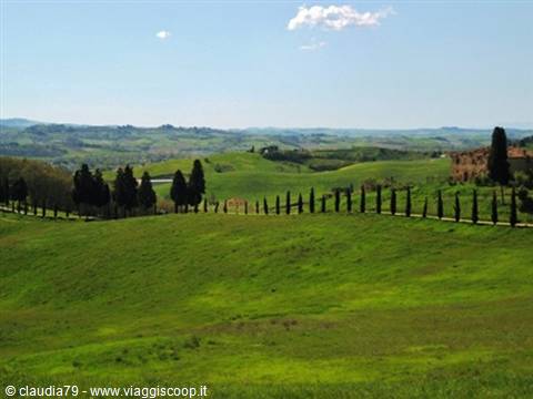 Tuscan countryside in Certaldo Alto (FI) view of Tuscany, spring in Tuscany