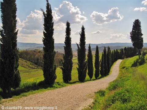 Tuscan countryside in Certaldo Alto (FI) view of Tuscany, spring in tuscany