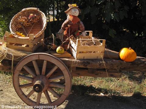 Flavours and colours of autumn in Tuscany. Medieval village of Certaldo Alto (FI)