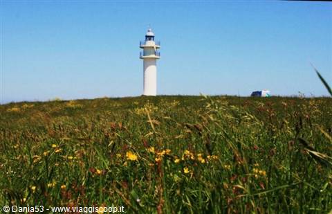 Cape Ajo