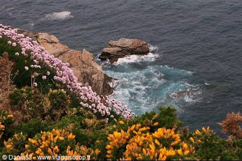 Cape Peñas