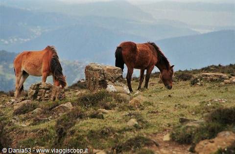 Sierra de la Capelada
