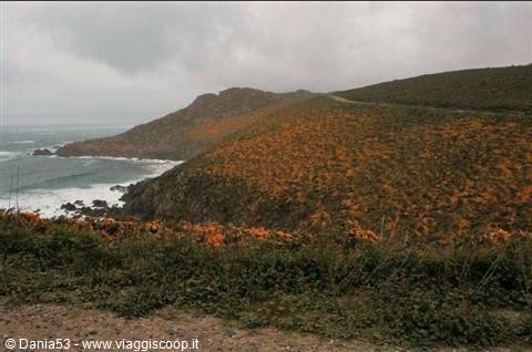 Cape Vilán