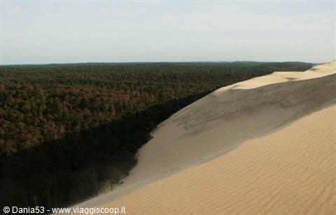Dune of Pilat