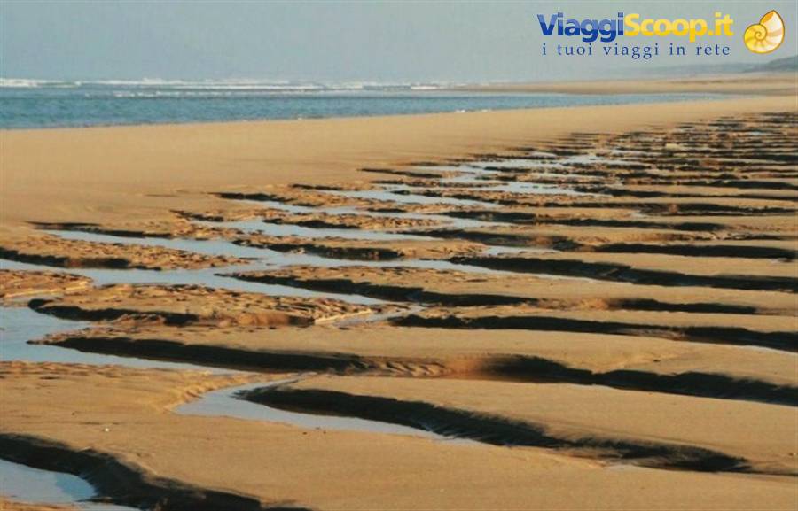 Biscarrosse beach
