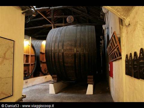 Vila Nova de Gaia Taylor's winery