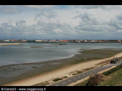 Aveiro lagoon