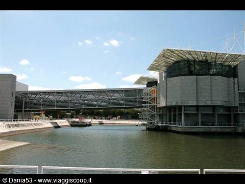 Lisbon oceanarium