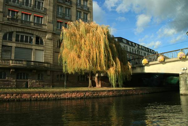 Strasbourg