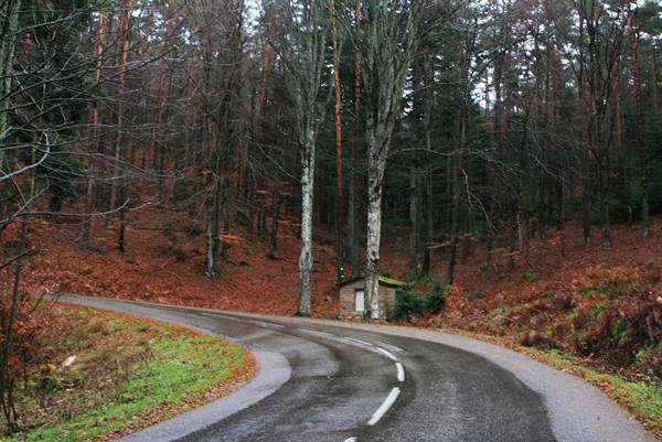 Road toward Mont Sainte-Odile