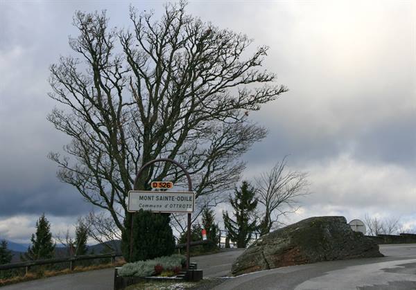 Mont Sainte-Odile
