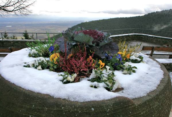 Mont Sainte-Odile