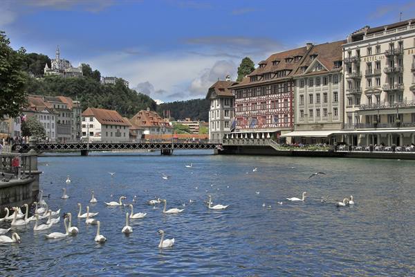 Lucerne