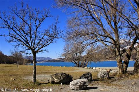 Bare trees and gray boulders on grassy shore of a blue lake