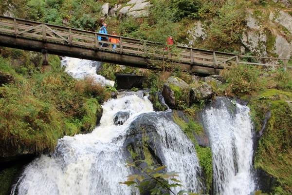Triberg-waterfalls