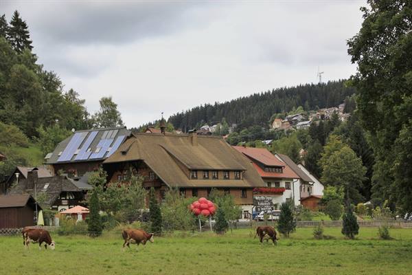 Schonach