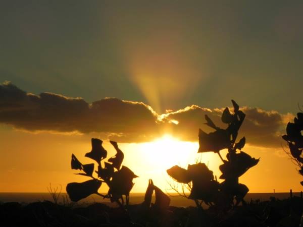 Sunset in Tenerife