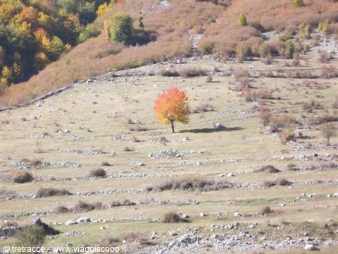 Autumn in Albania