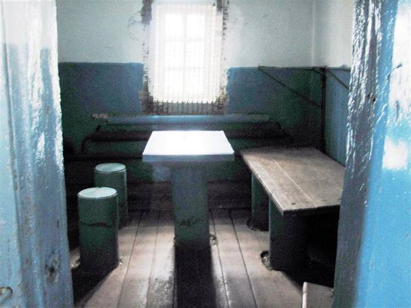 the cells