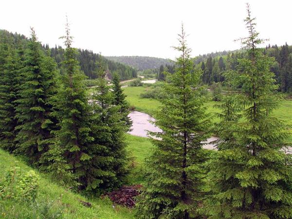 a fine view of the Urals