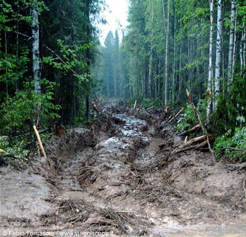 a terrible loggers' track