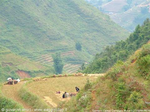 Sapa Valley