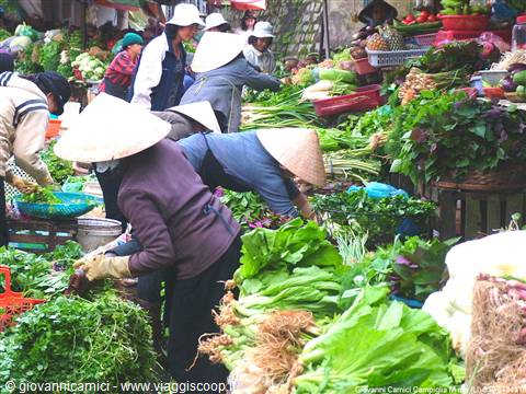 Vegetable market