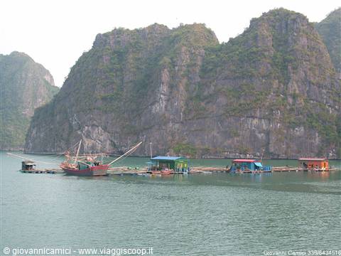 Halong Bay-fishermen's floating houses