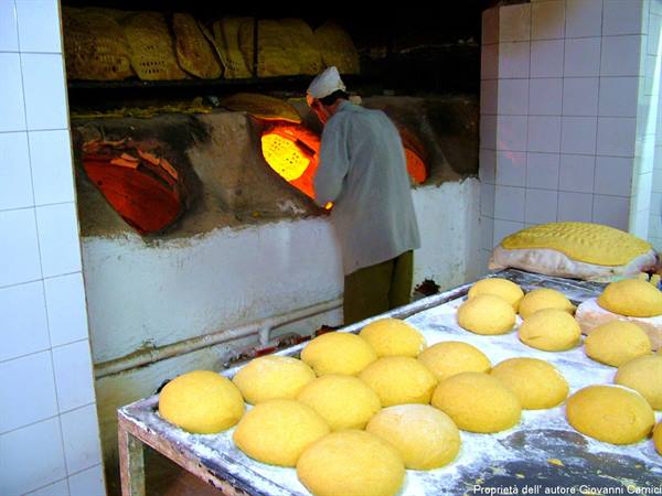 Tandoor oven