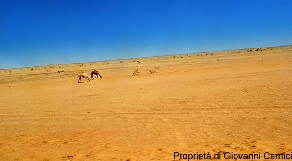 RAMLAT AS-SAB'ATAYN DESERT