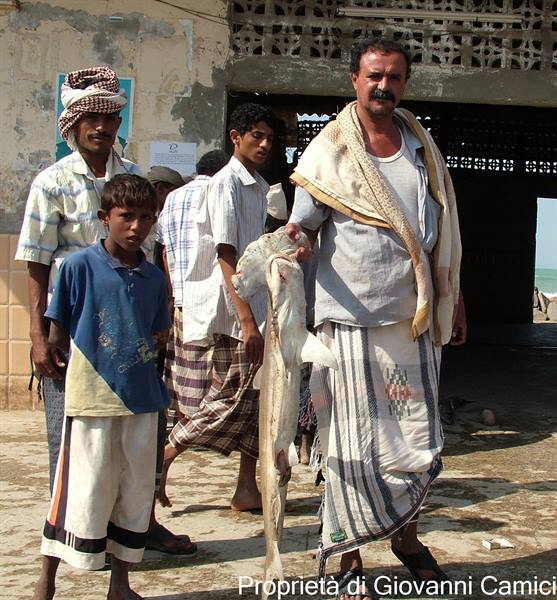 AL-KHAWKHA
